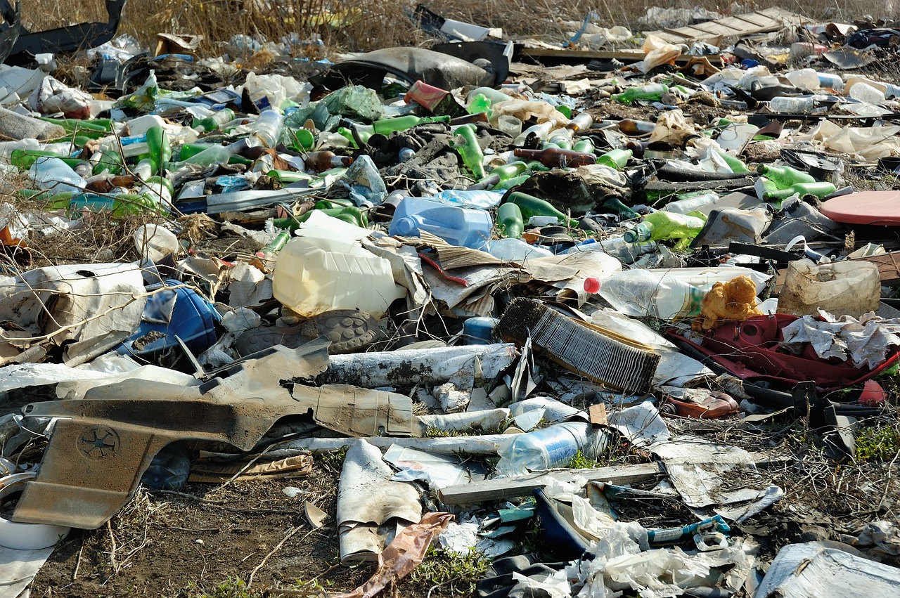 How Are Single-Use Plastics Affecting Our Soil Health